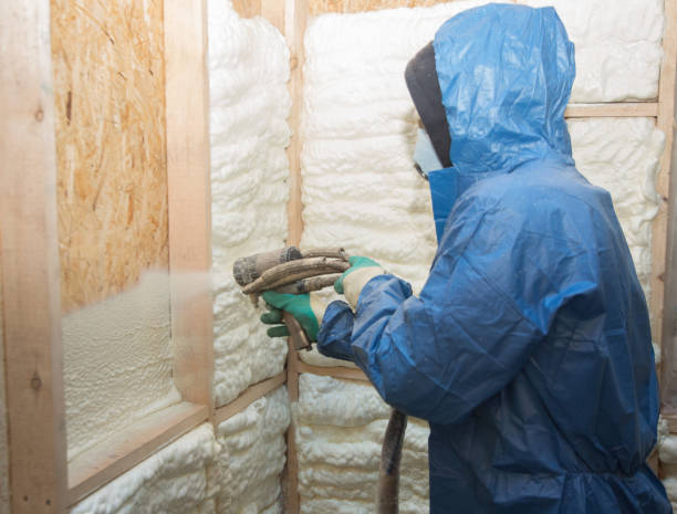 Best Insulation Replacement  in USA